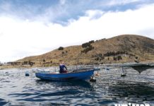 UMITRON secures project funding from the Inter-American Development Bank to deliver IoT and AI technology to drive growth of sustainable aquaculture in Lake Titicaca, Peru